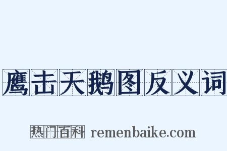 鹰击天鹅图反义词是什么意思的图片